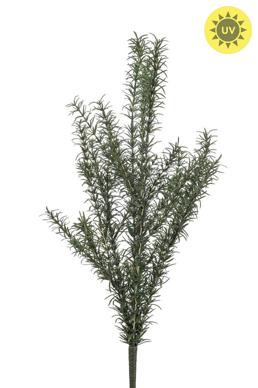Rosmarin dekorplante UV